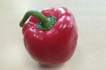 Paprika rood